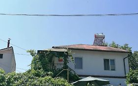Vila Didi, Mangalia