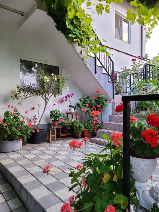 Vila Didi, Мангалия Екстериор снимка